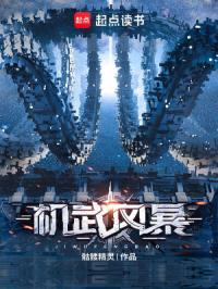机武风暴封面